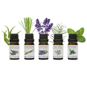 The Rio Aromatherapy 100% Essential Oil Collection includes five bottles—eucalyptus, lemongrass, lavender, tea tree, and peppermint—each shown with fresh leaves or flowers on a white background. Ideal for aromatherapy enthusiasts.