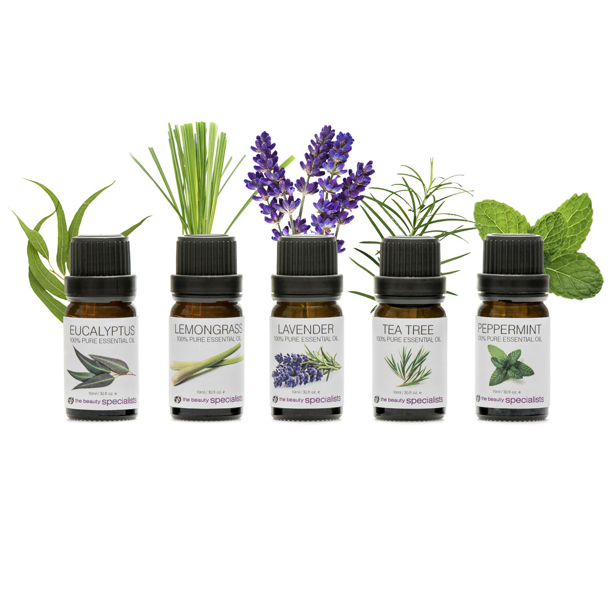 The Rio Aromatherapy 100% Essential Oil Collection includes five bottles—eucalyptus, lemongrass, lavender, tea tree, and peppermint—each shown with fresh leaves or flowers on a white background. Ideal for aromatherapy enthusiasts.