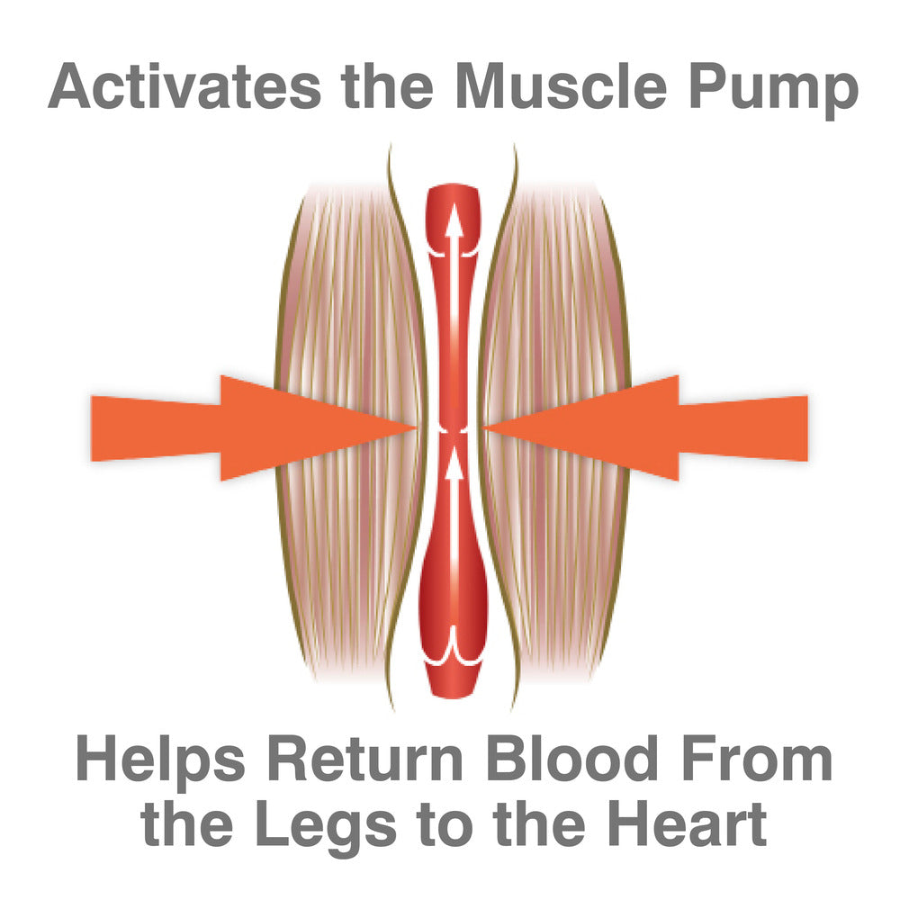 Diagram showing arrows squeezing a muscle, labeled "Activates the Muscle Pump," with upward arrows for blood flow, labeled "Helps Return Blood from Legs to Heart"—ideal for illustrating the Circulation Plus Active Lower Leg & Foot Exerciser (2025).