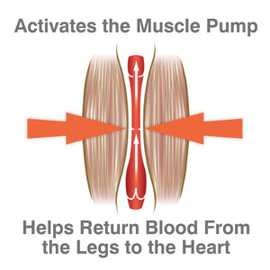 Diagram showing arrows squeezing a muscle, labeled "Activates the Muscle Pump," with upward arrows for blood flow, labeled "Helps Return Blood from Legs to Heart"—ideal for illustrating the Circulation Plus Active Lower Leg & Foot Exerciser (2025).