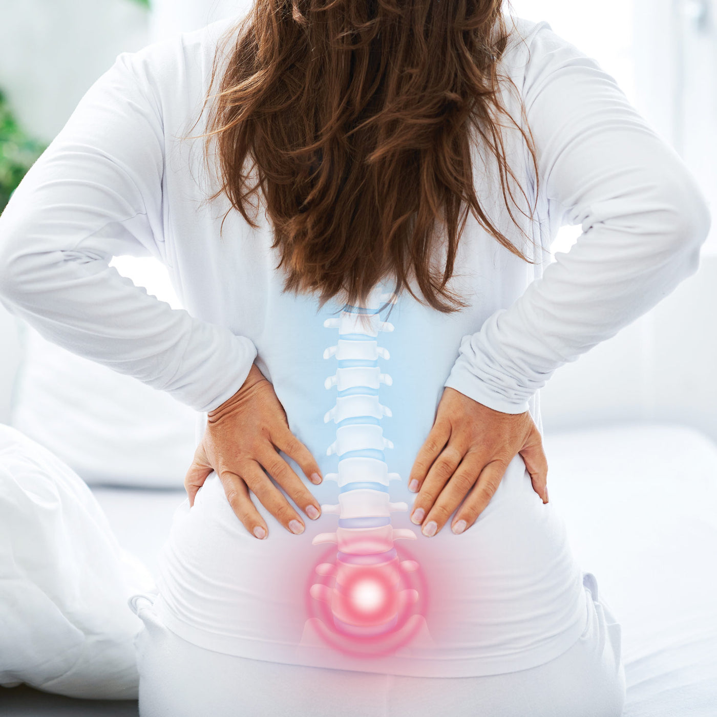 The Original BackMagic Back Stretcher - Bodi-Tek