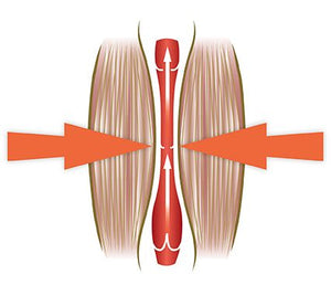 Circulation Plus Active Lower Leg Massager